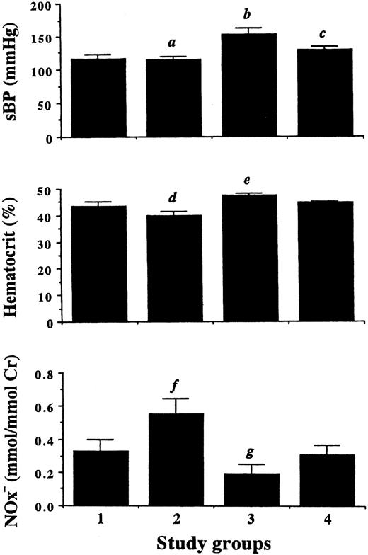 Fig. 1. Systolic blood pressure (in mm Hg), hematocrit (in percent), and urinary excretion of NOx− (in mmol/mmol Cr) in 10-week-old rats at the end of study. Data are the mean ± SD. sBP, systolic blood pressure; Cr, creatinine. Group 1, control; group 2, isosorbide dinitrate; group 3, L-NAME; group 4, L-NAME plus L-arginine. (a) P < .005 versus group 4, P < .001 versus group 3; (b) P < .001 versus other groups; (c) P < .005 versus group 1; (d) P < .001 versus other groups; (e) P < .05 versus group 4, P < .001 versus groups 1 and 2; (f) P < .001 versus other groups; (g) P < .01 versus group 1.