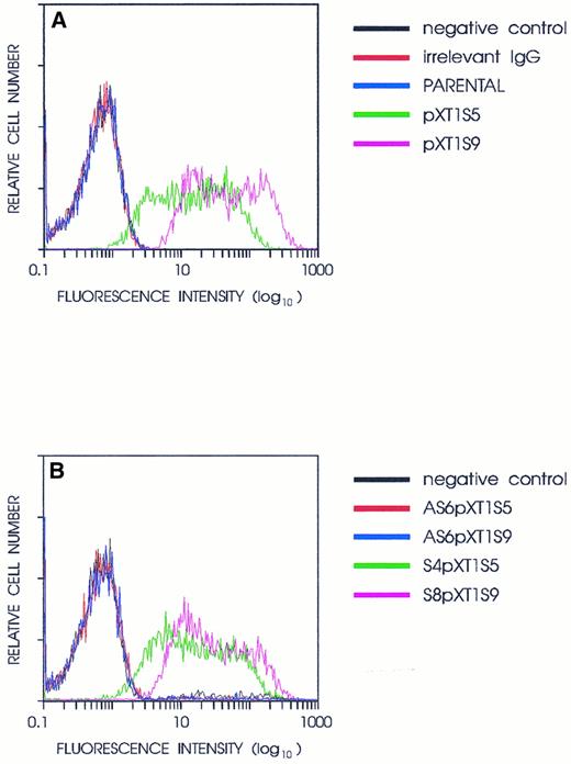 Fig. 2. Cytofluorometric analysis of ES-D3 clones. (A) Untransfected ES-D3 cells or ES-D3 cells transfected with pXT1-Ptpγ full-length cDNA in the sense orientation (clones S5 and S9) were analyzed: black, S9 without primary antibody (result was the same for parental and S5); red, S9 with irrelevant rabbit IgG (result was the same for parental and S5 cell lines); blue, parental cells reacted with anti–Ptpγ P4 antibody; green and purple, the individual S5 and S9 clones expressing Ptpγ RNA, reacted with anti–Ptpγ P4 antibody. The signal for the empty vector transfected clones was the same as for the parental ones and has been omitted in the figure. (B) S5 and S9 PTPγ overexpressing clones were supertransfected with either antisense construct B (ASpXT1S5 and AS6pXT1S9 clones) or sense construct B ( S4pXT1S5 and S8pXT1S9 clones) and the resultant stable clones tested for expression of the exogenous Ptpγ as in (A): black, S9 without primary antibody; red, antisense B supertransfectant clone AS6pXT1S5 reacted with anti–Ptpγ P4 antibody; blue, antisense B supertransfectant, AS6pXT1S9, reacted with anti–Ptpγ P4 antibody; green and purple, two sense B supertransfectants reacted with anti–Ptpγ P4 antibody. The B antisense construct supertransfectants have down-modulated surface expression of the exogenous Ptpγ in the S5 and S9 clones. Both panels represent one of two independent experiments that gave the same results.