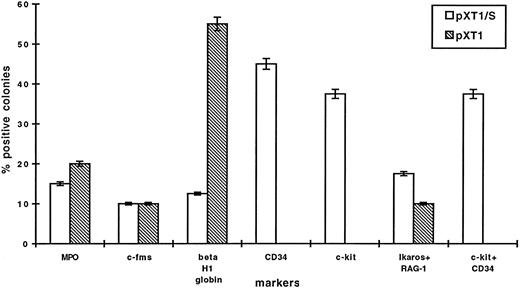 Fig. 4. Expression of lineage-specific genes in Ptpγ transfected ES-D3 derived hematopoietic colonies. RNA was isolated from 20 individual colonies 14 days after plating 7-day EB cells in methylcellulose medium; for each condition gene expression was evaluated by RT-PCR and the percentage of colonies that express the indicated marker are shown. Open bar, pXT1/S, represents either ES-D3 S5 or S9 Ptpγ expressors; striped bar, pXT1, represents ES-D3 transfected with empty vector. The results are the average ±SD of two independent experiments.