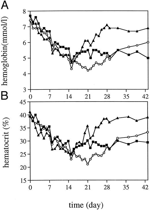 Fig. 3. Hb levels (A) and hematocrit (B) after 5 Gy TBI for TPO-treated monkeys (▪, n = 4), placebo-treated controls (○, n = 4), and one iron-pretreated TPO-treated monkey (▴).