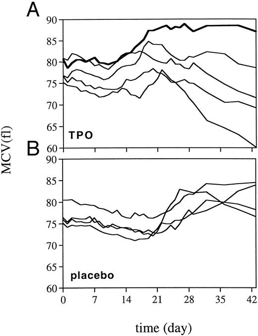 Fig. 4. MCV after 5 Gy TBI for TPO-treated monkeys (A) and placebo-treated controls (B). Each line represents an individual monkey: bold line, iron-pretreated TPO-treated monkey.