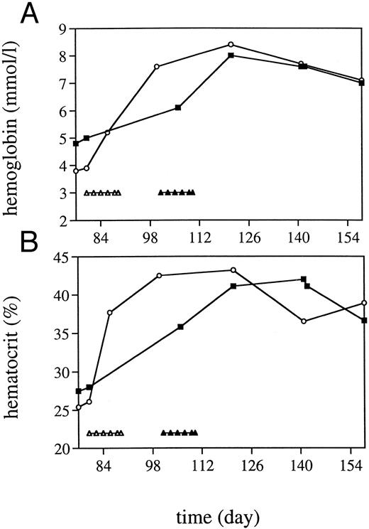 Fig. 6. Effect of iron treatment in two anemic TPO-treated monkeys. (A) Hb level; (B) hematocrit. Iron was administered at the indicated time points. (▵) Correspond with the monkey represented with (○), and (▴) with (▪). At the indicated time points, 30 mg Fe(III) was administered.