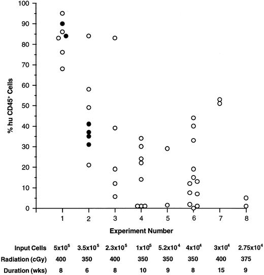 Fig. 1. Engraftment of human CD34+ cell-enriched fractions into NOD/SCID BM. The percent of huCD45+ cells found in NOD/SCID BM are plotted for individuals in experiments 1 through 8. The number of input cells, pretreatment radiation dose, and duration of the experiment are listed below each experiment number. In experiments 1 and 2, 10 μg each of human: IL-3, GM-CSF, and SCF was administered three times per week to one group of mice (•), while others were given no growth factors (○).