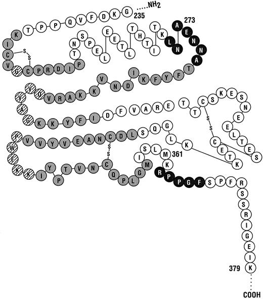 Fig. 5. Kininogens' thrombin inhibitory domains. A circle with a solid background represents thrombin inhibitory activity. A circle with a shaded background represents a cell membrane binding region. A circle with diagonal lines represents overlapping papain inhibitory activity and cell membrane binding activity.