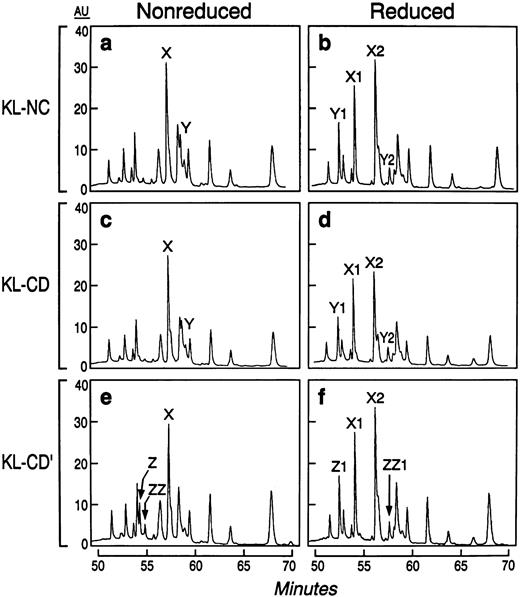 Fig. 3. Peptide maps of KL-NC, active KL-CD, and inactive KL-CD after treatment with endoproteinase AspN under reduced and nonreduced conditions. Peptides labeled X, Y, and Z under nonreduced conditions give rise to peptides X1, X2, Y1, Y2, Z, and ZZ1 after reduction, respectively.