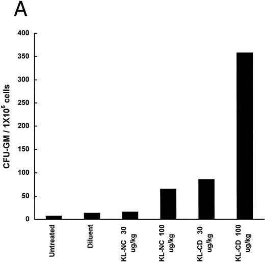 Fig. 5. Mobilization of progenitors (CFU-GM) in mice by continuous infusion of KL-NC or KL-CD. CFU-GM were quantitated in (A) peripheral blood cells or (B) spleen cells of untreated mice or mice implanted with pumps delivering diluent (PBS + BSA), KL-NC, or KL-CD at 30 or 100 μg/kg/d for 6 days. The results are the mean of 3 plates/mice from 2 mice/group and are given as the number of CFU-GM/1 × 106 nucleated blood cells or CFU-GM/1 × 105 nucleated spleen cells plated, respectively.