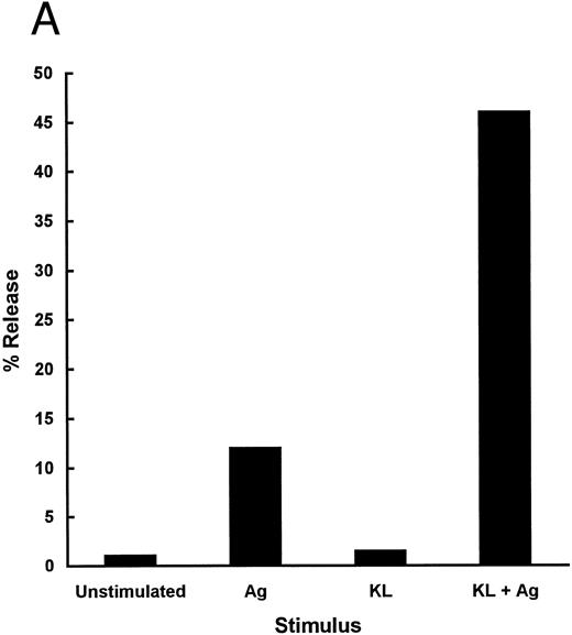 Fig. 7. (A) Priming of murine BMMC with KL before triggering with IgE + antigen. IgE-sensitized BMMC were primed for 5 minutes with control diluent or KL (100 ng/mL) and then activated with TNP-BSA. Data are expressed as the percentage of release of hexoseaminidase of two replicate points. (B) Dose-response of KL-CD ( — )and KL-NC (- - -) priming of BMMC activation. Data are expressed as a percentage of the maximal response achievable over the baseline. The baseline level of activation was 20.6% with IgE + antigen (TNP-BSA) alone and the maximal level of activation was 57.2% with KL + IgE + antigen. The data represent the mean of two points from one of three representative experiments.