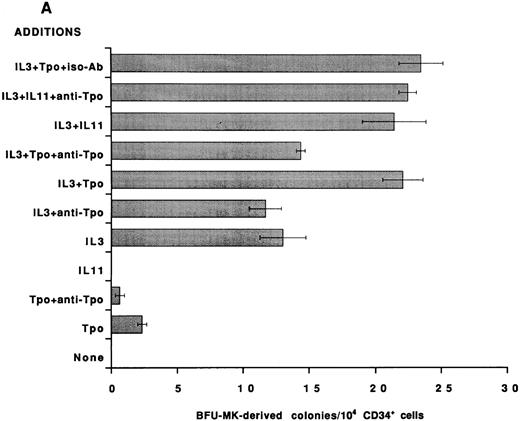 Fig. 2. Effect of neutralizing anti-TPO antibody on rhIL-11– and IL-3–induced human MK colony formation. CD34+ cells were isolated from human BM and assayed in serum-free media for BFU-MK–derived (A) and CFU-MK–derived (B) colonies. The following cytokine concentrations were used: rhIL-11 (50 ng/mL), rhIL-3 (10 ng/mL), and rhTpo (10 ng/mL). Both the anti-Tpo antibody and isotype antibody were added into the cultures at 75 μg/mL. Suboptimal concentrations of growth factors and optimal concentrations of antibody were used to guarantee antibody excess. Clusters of 3 or more CD41+ cells were scored as a CFU-MK–derived colony, whereas multifoci and greater than 100 fluorescent cells were scored as a BFU-MK–derived colony. Each column with bar corresponds to the mean ± SEM of triplicate cultures from one experiment representative of three separate experiments.