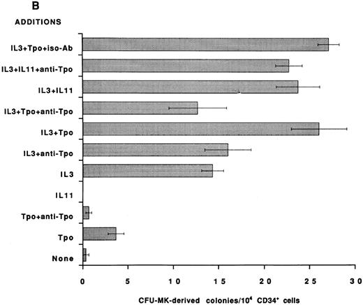 Fig. 2. Effect of neutralizing anti-TPO antibody on rhIL-11– and IL-3–induced human MK colony formation. CD34+ cells were isolated from human BM and assayed in serum-free media for BFU-MK–derived (A) and CFU-MK–derived (B) colonies. The following cytokine concentrations were used: rhIL-11 (50 ng/mL), rhIL-3 (10 ng/mL), and rhTpo (10 ng/mL). Both the anti-Tpo antibody and isotype antibody were added into the cultures at 75 μg/mL. Suboptimal concentrations of growth factors and optimal concentrations of antibody were used to guarantee antibody excess. Clusters of 3 or more CD41+ cells were scored as a CFU-MK–derived colony, whereas multifoci and greater than 100 fluorescent cells were scored as a BFU-MK–derived colony. Each column with bar corresponds to the mean ± SEM of triplicate cultures from one experiment representative of three separate experiments.