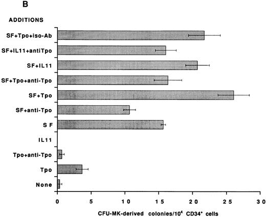 Fig. 3. Effect of neutralizing anti-Tpo antibody on rhIL-11– and SF-induced human MK colony formation. CD34+ cells were isolated from human BM, assayed in serum-free media for BFU-MK–derived (A) and CFU-MK–derived (B) colonies, and scored as described in Fig 2. The following cytokine concentrations were used: rhIL-11 (50 ng/mL), rhSF (50 ng/mL), and rhTpo (10 ng/mL). The anti-Tpo antibody was added into the cultures at 75 to 100 μg/mL, and the isotype antibody was added at 75 to 100 μg/mL. Each column with bar corresponds to the mean ± SEM of triplicate cultures from an experiment representative of three separate experiments.
