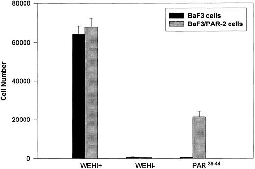 Fig. 1. Generation and characterization of BaF3/PAR-2 cells. Mock-transfected (BaF3 cells) or BaF3/PAR-2 cells were plated into 96-well clusters (2 × 104 cells/well) and incubated in complete media (RPMI, 10% fetal calf serum) with (WEHI+) or without (WEHI−) 10% WEHI supernatant (as the exogenous source of IL-3), or 100 μmol/L PAR39-44 for 48 hours, before proliferative assays using MTT essentially as outlined in the Materials and Methods. Only BaF3/PAR-2 cells showed proliferative responses to PAR-2 peptidomimetics. No responses were seen using the inactive peptide LSIGRL (not shown). All points represent the mean ± the standard error of the mean (SEM) of four wells from a single representative set of experiments.