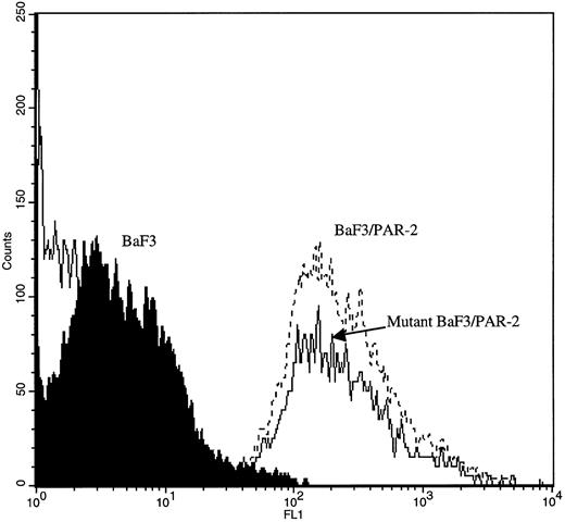 Fig. 6. Flow cytometric analysis in transfected cell lines. Mock-transfected BaF3, BaF3/PAR-2, or BaF3/PAR-2Arg36 → Ala36 (mutant) cells were incubated with 20 μg/mL anti–PAR-2 antibody for flow cytometric analysis using a FITC-conjugated secondary antibody, as outlined in the Materials and Methods. As shown, comparable cell-surface receptor expression is seen in both cell lines expressing PAR-2 (<95% immunoreactive cells), whereas no immunoreactivity is detectable using mock-transfected BaF3 controls.
