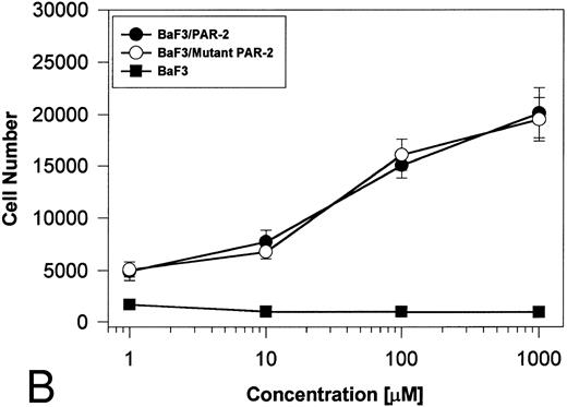 Fig. 7. PAR-2 proliferative responses to synthetic peptidomimetics. BaF3/PAR-2 or BaF3/PAR-2Arg36 → Ala36 (mutant) cell lines were incubated with progressive concentrations of PAR-2–derived (PAR-239-44) (A) or TR-derived (TR42-47) (B) peptidomimetics, essentially as described in the legend to Fig 1. As shown, both cell lines responded almost identically when activated by either TR42-47 or PAR-239-44, although the responses using TR42-47 were consistently ∼70% of those seen using equimolar concentrations of PAR39-44. Results represent the mean ± SEM from four individual wells from a representative set of experiments completed on two occasions.