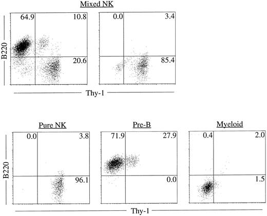 Fig. 2. Representative FACS profiles of colonies derived from single cells. Sca-1+c-kit+ cells were purified from fetal liver and were plated individually by micromanipulation into methylcellulose media containing IL-2, IL-7, IL-11, and SF. After 18 days of culture, colonies were identified in situ and picked individually. Cells from each colony were stained with PE-anti–B220 and FITC-anti–Thy-1 and analyzed by FACS Vantage using Cell Quest software. Upper left: A mixed NK colony with B lineage cells. Upper right: A mixed NK colony without B lineage cells. FACS profile of a typical pure NK, pre-B or myeloid colony is also shown for comparison.