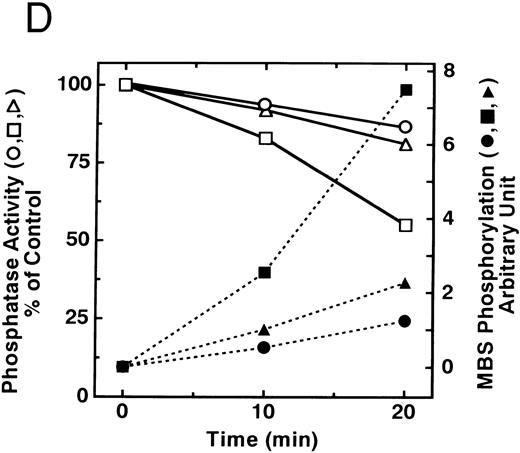 Fig. 3. Phosphorylation of MBS and inactivation of myosin phosphatase by Rho-kinase. (A) Coimmunoprecipitation of RhoA and Rho-kinase with platelet MBS. Coprecipitated RhoA (left) and Rho-kinase (right) were determined by probing immunoblots with antibodies against respective proteins. (B) Coprecipitation of MBS with Rho-kinase from human platelets. Immunoprecipitation with anti–Rho-kinase antibody and immunoblot analysis of MBS were described in the Materials and Methods. (C) In vitro phosphorylation of platelet MBS by GST-Rho-kinase and its inhibition by staurosporine. MBS immunoprecipitates of platelet lysates were incubated with Rho-kinase in the presence of staurosporine, as described under Materials and Methods. Protein phosphorylation was analyzed by SDS-PAGE, followed by autoradiography. Lane 1, no incubation; Lane 2, 15 minutes of incubation without GST-Rho-kinase; Lane 3, 15 minutes of incubation with GST-Rho-kinase, Lane 4; 15 minutes of incubation with GST-Rho-kinase in the presence of 1 μmol/L staurosporine. The results are representative of three independent experiments. (D) Effect of MBS phosphorylation on the activity of myosin phosphatase. MBS immunoprecipitates were incubated without GST-Rho-kinase (▵, ▴), with GST-Rho-kinase (□, ▪) or with GST-Rho-kinase and 1 μmol/L staurosporine (○, •), as described in the Materials and Methods. At the indicated times, aliquots of the reaction mixture were quenched by addition of a solution containing final 10 mmol/L EGTA to stop the reaction and were kept on ice. Activity of myosin phosphatase (open symbol) was determined immediately. Phosphorylation (solid symbol) of MBS was analyzed by SDS-PAGE and autoradiography. Points, means of three separate experiments (SD < 10%).