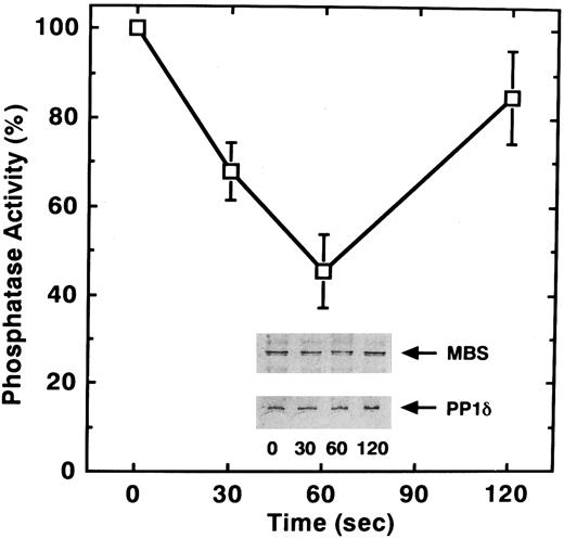 Fig. 5. STA2-induced inactivation of myosin phosphatase in intact platelets. Washed platelets (1 × 106/μL platelets) were stimulated with 1 μmol/L STA2 without stirring. MBS was immunoprecipitated with anti-MBS antibody and the activity of myosin phosphatase was determined immediately as described in the Materials and Methods. Data represent the means ± SE of five independent experiments. Immunoprecipitates were immunoblotted with antibodies against MBS and the PP1δ catalytic subunit (inset).