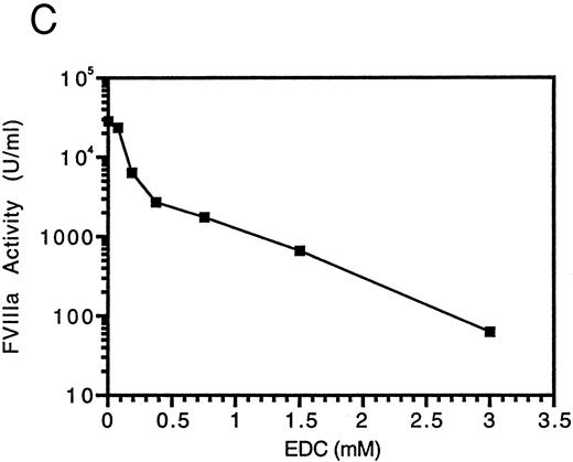 Fig. 2. Cross-linking of factor VIIIa with EDC. Factor VIIIa (750 nmol/L) was incubated in the absence (lane 1) and presence of EDC at 75 μmol/L (lane 2), 188 μmol/L (lane 3), 375 μmol/L (lane 4), 750 μmol/L (lane 5), 1.5 mmol/L (lane 6), or 3 mmol/L (lane 7) for 2 hours at room temperature in a reaction (35 μL) containing 25 mmol/L Mes, pH 6, and 0.01% Tween-20. An aliquot was removed from each sample and assayed for factor VIIIa activity (C). SDS sample buffer was added to the remainder of each sample and reactions were subjected to electrophoresis on 6% to 15% gels, transferred to PVDF, and immunoblotted with the anti-A1 subunit antibody, 58.12 (A), or the anti-A2 subunit antibody, R8B12 (B).