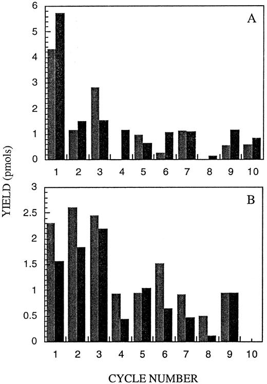 Fig. 8. Sequence analysis of the A2-FVIII337-372 cross-linked product. Results are presented as subtraction chromatograms wherein the yield (in picomoles) for a given residue (except the initial residue) has subtracted from it the value for that residue in the previous cycle. This method corrects for background and is useful in analyzing low yield samples. The bar graph shows the residue yield for each cycle for experiment no. 1 () and experiment no. 2 (▪). (A) shows the residue yields attributed to the FVIII337-372 peptide sequence and (B) shows the residue yields attributed to the A2 subunit sequence. For (A), the peptide sequence for 10 cycles, using the single letter code, corresponds to MKNNEEAEDY; for (B), the A2 sequence is SVAKKHPKT(W). Trp (W), is typically recovered in low yield, and this residue was not identified at cycle 10 of the A2 sequence.