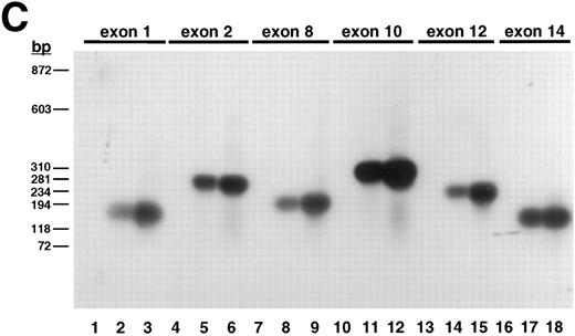 Fig. 1. Plasmid D12 contains the entire human β3 gene. (A) Ethidium bromide-stained agarose gel of D12 restriction digests. Lane 1, standard containing λ DNA digested with HindIII plus φx174 DNA digested with HaeIII; lane 2, D12 digested with Xba I + Sma I; lane 3, 1,211-bp Xho I + BamHI fragment of 5′ β3 gene subcloned into pBluescript and digested with Xba I + Sma I; the remaining lanes are D12 cut with Xba I (lane 4), Sma I (lane 5), HindIII (lane 6), Stu I (lane 7), Xho I (lane 8), Spe I (lane 9), and Acc I (lane 10). (B) Southern analysis of gel in (A) probed with 32P-labeled oligonucleotide ex0.S from positions −113 to −95 from the transcription start site of the β3 gene (probe position shown in Fig 3A). Lane 3 contains a positive control plasmid with genomic sequence from which the probe was designed.30 (C) Southern analysis of PCR products using clone D12 as a template, probed with a 32P-labeled β3 cDNA containing the entire coding region. Using primers flanking the indicated exons (Table 1), PCR reactions were performed on no template DNA (lanes 1, 4, 7, 10, 13, and 16), normal genomic DNA (lanes 2, 5, 8, 11, 14, and 17), and clone D12 (lanes 3, 6, 9, 12, 15, and 18). Under the same conditions, using the same PCR primers, no products were obtained using a negative P1 plasmid as a control (not shown). DNA size marker was φx174 digested with HaeIII. Exons are numbered as described in the text.