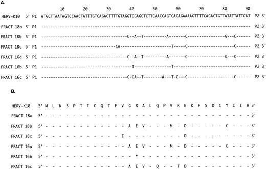 Fig. 2. Comparison of sequences obtained from sucrose gradient fractionated platelet lysates. (A) Nucleotide sequences from RT-PCR from sucrose fractions 16 and 18 from patient UPN08. Six clones were sequenced and compared with HERV-K10.47 “−” indicates identity. P1 represents primer LPQ, and P2 represents primer YIDD. (B) Deduced amino acid sequences for the sequences shown in (A). “*” indicates an ochre stop codon.