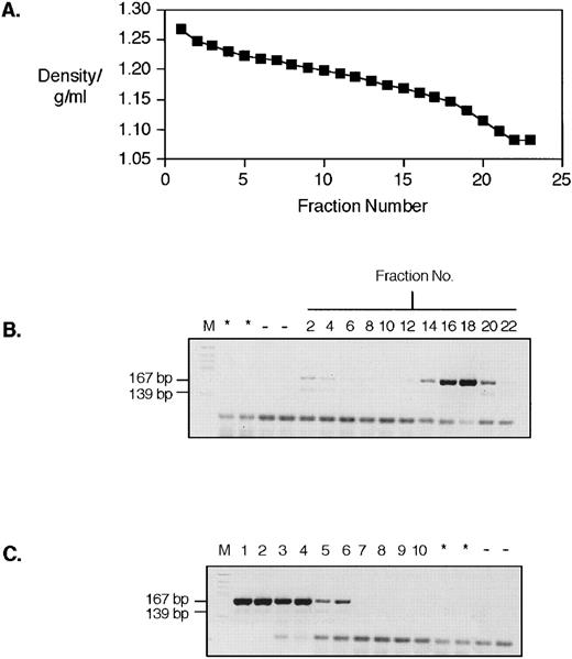 Fig. 3. Reverse transcription of Brome Mosaic Virus (BMV) RNA by sucrose gradient fractionated platelet lysate. (A) shows the density profile of a sucrose gradient fractionation of a platelet lysate made from patient UPN08. (B) and (C) show the result of a reverse transcriptase assay performed on fractions from the gradient. (B) Lanes are (from left to right) M, marker; *, no BMV RNA control; −, no reverse transcriptase control; 2, 4, 6, 8, 10, 12, 14, 16, 18, 20, and 22, sucrose fraction numbers. (C) Lanes are (from left to right) M, marker; 1 and 2, 2.0 U; 3 and 4, 0.2 U; 5 and 6, 0.02 U; 7 and 8, 0.002 U; 9 and 10, 0.0002 U of Moloney murine leukemia virus reverse transcriptase, respectively. “*” and “−” are as for (B).