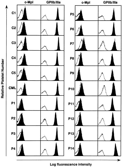 Fig. 2. Flow cytometric analysis of c-Mpl and GPIIb/IIIa expression on the platelets from 14 ET patients (P1 to P14), one CML patient (CML), and four normal controls (C1 to C4). The expression levels of c-Mpl and GPIIb/IIIa was examined by staining with rabbit anti–c-Mpl antiserum and AP2 MoAb, respectively (solid). The log fluorescence intensity was examined by reference to nonspecific isotype control MoAb (open).
