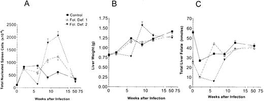 Fig. 3. Spleen and liver size and total liver folate from mice in the preleukemic phase. Mice were fed folate-free and control diets as described in the Materials and Methods and the Fig 1 legend. From 10 to 30 mice were killed at 2, 6, 9, 12, and 52 weeks. Those killed at 52 weeks had no signs of leukemia. (A) Nucleated spleen cells. (B) Liver weights. (C) Total liver folate. The early increase in size of the livers is due to growth from weanling mice into adults. Data are ± 1 SEM. of 10 to 30 mice.