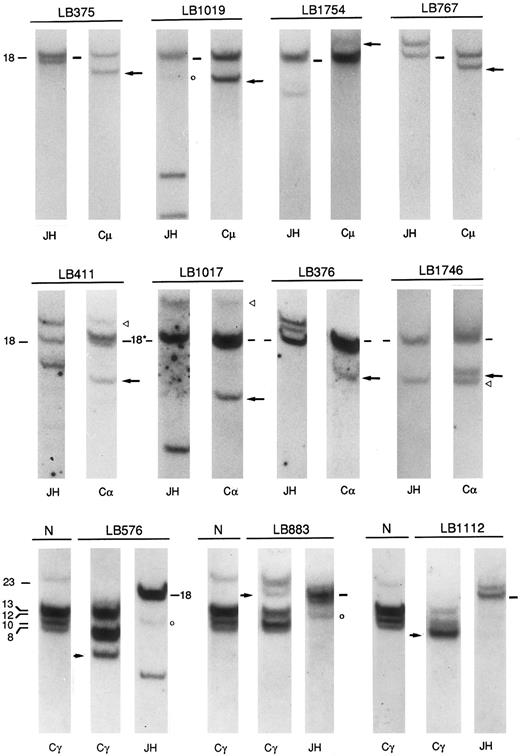 Fig. 1. Southern blot analysis of IGH locus in MM samples. DNA was digested with the BamHI restriction enzyme and the nylon filters were subsequently hybridized to the probes indicated below. Germ-line bands are indicated in kilobases (kb) by dashes. The arrows indicate “illegitimate” IGH rearranged fragments that are candidates for chromosomal translocations and were cloned in cases LB375, LB1017, and LB411 (see text). (◃) Indicate comigrating JH and Cα rearranged fragments (“legitimate allele”) in MM cases expressing the IGH α isotype. (○) Indicate a 12-kb BamHI fragment cross-hybridizing with the JH probe in our experimental conditions. Germ-line JH and Cα BamHI fragments have approximately the same size in kb (*).