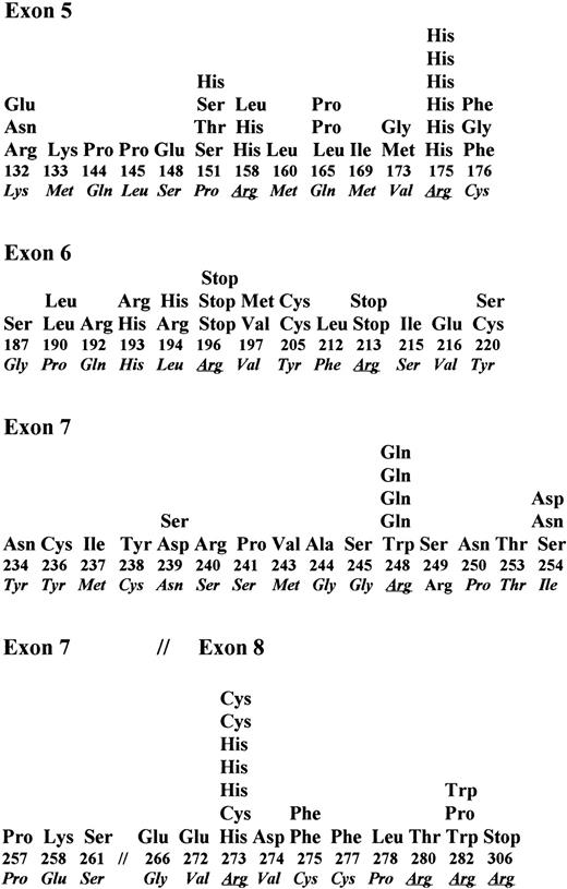 Fig. 4. Profile of mutations in exons 5 through 8 of P53 in B-NHL.