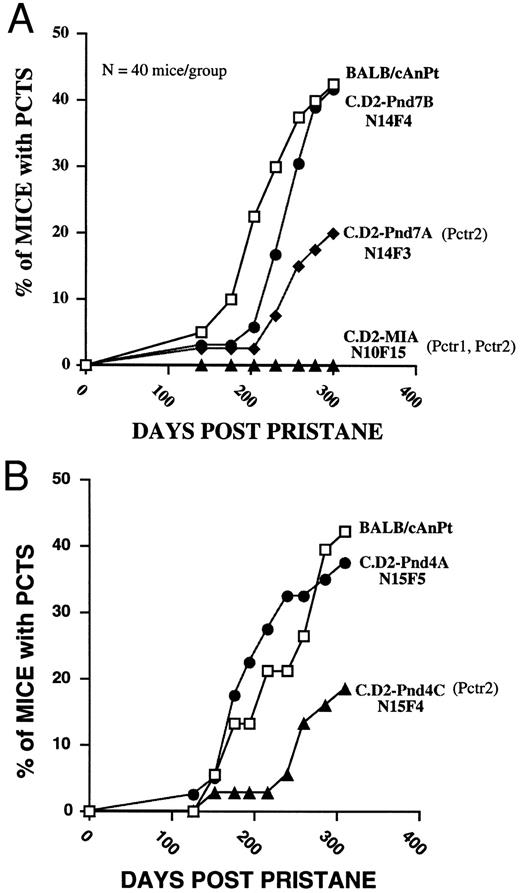 Fig. 2. Tumor incidence patterns over the course of 300 days in BALB/cAn and the C.D2-Chr 4 congenic strains (N = 40 mice/strain). (A) Comparisons were made between BALB/c and C.D2-MIA, C.D2-Pnd7A, and C.D2-Pnd7B. (B) Comparisons were made between BALB/c and C.D2-Pnd4A, and C.D2-Pnd4C. The experiments illustrated in (A and B) represent two separate induction studies performed within 6 months of each other. See Table 1 for definition of the intervals of DBA/2 chromatin present in each of the C.D2-Chr 4 congenics. The C.D2-MIA mouse carries at least two resistance alleles at the Pctr1 and Pctr2 loci for plasmacytoma development. The Pnd7A and Pnd4C mice carry at least one resistance allele at the Pctr2 locus for plasmacytoma development. In contrast, the Pnd4A and Pnd7B mice were as susceptible as BALB/c and, therefore, were carrying susceptibility alleles at the Pctr2 locus.