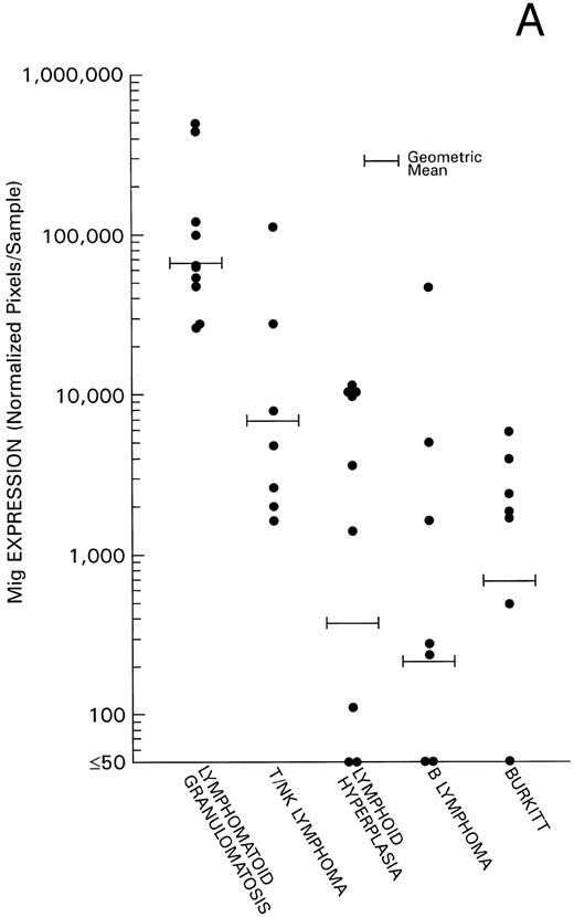 Fig. 2. Mig and IP-10 mRNA expression in EBV-associated lymphoproliferative diseases. Total cellular RNA, extracted from paraffin-embedded tissues diagnosed with either LYG, nasal T/NK-cell lymphoma, lymphoid hyperplasia, malignant B-cell lymphoma, or Burkitt's lymphoma, was subjected to semiquantitative RT-PCR. After normalization to a standard RNA preparation and to G3PDH, the results of Phosphorimage analysis are shown as absolute numbers of normalized arbitrary units (pixels)/sample. (A) Mig mRNA expression; (B) IP-10 mRNA expression.