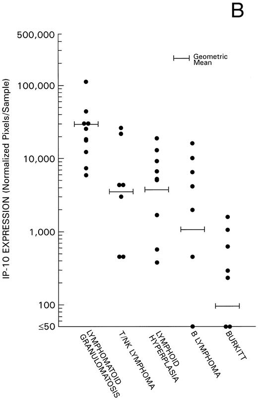 Fig. 2. Mig and IP-10 mRNA expression in EBV-associated lymphoproliferative diseases. Total cellular RNA, extracted from paraffin-embedded tissues diagnosed with either LYG, nasal T/NK-cell lymphoma, lymphoid hyperplasia, malignant B-cell lymphoma, or Burkitt's lymphoma, was subjected to semiquantitative RT-PCR. After normalization to a standard RNA preparation and to G3PDH, the results of Phosphorimage analysis are shown as absolute numbers of normalized arbitrary units (pixels)/sample. (A) Mig mRNA expression; (B) IP-10 mRNA expression.