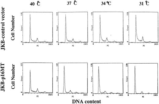 Fig. 2. Effects of culture temperature on cell cycle distribution of JKB control cells and JKB p16MT cells. JKB control cells or JKB p16MT cells were cultured at different temperatures (40°C, 37°C, 34°C, and 31°C) for 1 day. Cell cycle distribution was determined using PI staining followed by FACS analysis.