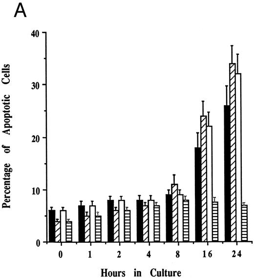 Fig. 5. Effects of cell culture temperature on susceptibility of JKB p16MT cells to apoptosis triggered by dexamethasone. JKB control (▪) and JKB p16MT (□) cells were cultured for 1 day at 40°C; JKB control (▨) or JKB p16MT (▤) were also cultured for 1 day at 31°C. Cells were then cultured for 1 day with Dex (10 μmol/L) at either temperature to induce apoptosis. The percentage of apoptotic cells was determined by acridine orange/ethidium bromide staining (A) and DNA fragmentation (B).