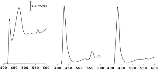 Fig. 1. Differential absorbance spectra (reduced-oxidized) from neutrophils of a control subject (left), MPO-deficient subjects DP (center), and MP (right). Granulocyte suspensions diluted at 15 × 106 cells/mL containing 97% neutrophils were used. The wavelength expressed as nm is reported on abscissa axis.
