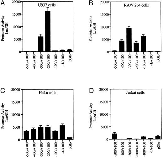 Fig. 2. Transfection of wild-type MR promoter constructs into myeloid and nonmyeloid cells. Serial 100-bp deletion constructs of the wild-type MR receptor fused to a luciferase reporter gene were transfected into myeloid (U937 and RAW264) and nonmyeloid cells (HeLa and Jurkat) and assayed for activity. Promoter activity (luc/GH) was measured in millivolts (mV) and normalized to 1 μg of growth hormone produced by a cotransfected tk-GH plasmid per milliliter of medium (see the Materials and Methods). Values of the transfected vector backbone (pGLO) are included. Bars represent the average value obtained from between three and six transfections performed on each construct.