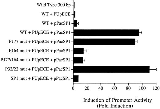 Fig. 7. Sp1 and PU.1 act synergistically in cotransactivating transcription of the murine MR promoter. Fragments of the murine MR promoter, in which the Sp1 site or each of the four PU.1 sites (separately or in combination) were mutated, were transfected into Drosophila SL cells (Sp1 and PU.1 negative) by the calcium phosphate precipitation method of Chen and Okayama.37 Ten micrograms of the mutated MR plasmid construct was transfected along with 1 μg of each expression plasmid (PUpECE and pPacSP1) and luciferase activity was measured as described in the Materials and Methods. Wild-type (WT) plasmid alone or together with PUpECE and/or pPacSp1 was transfected as a control. The figure portrays the luciferase reporter gene results as a fold increase over activity obtained from transfection of the wild-type (WT) construct.