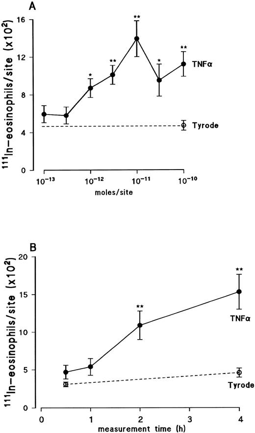 Fig. 1. Dose-response relation (A) and time course (B) of 111In-eosinophil accumulation induced by intradermal TNFα in rat skin. Animals were injected IV with 111In-eosinophils. (A) TNFα (•) or Tyrode solution (○) was injected ID into the previously clipped back skin of rats and responses measured over a 4-hour period. (B) TNFα (10−11 mol/site; •) or Tyrode solution (○) was injected ID at different time points within a 4-hour period. Responses are the mean ± SEM for n = 4 to 6 rats. A significant difference from the 4-hour Tyrode level is indicated by *P < .05 or **P < .01.