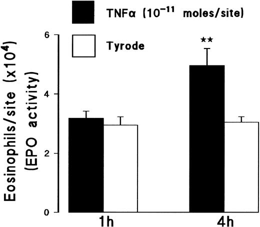 Fig. 2. Effect of TNFα on local eosinophil accumulation as measured by EPO activity in skin sites. The graph shows EPO activity in skin sites injected with TNFα (10−11 mol/site) or Tyrode, using a 4-hour or 1-hour measurement period. Results represent the number of eosinophils per skin site ± SEM (n = 3). A significant difference over Tyrode injected sites is indicated by **P < .01.
