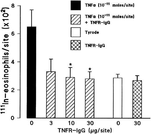 Fig. 4. Effect of a soluble TNFα receptor (p55)-IgG fusion protein (TNFR-IgG) on the TNFα-induced 111In-eosinophil accumulation in rat skin. Using a 4-hour in vivo test period, the graph shows responses to TNFα alone (10−11 mol/site; ▪), TNFα coinjected with TNFR-IgG (3 to 30 μg/site; ▨), TNFR-IgG alone (30 μg/site; ), and Tyrode (□). Results are the mean ± SEM for n = 5 animals. Asterisks indicate a significant difference from sites injected with TNFα alone (*P < .05).