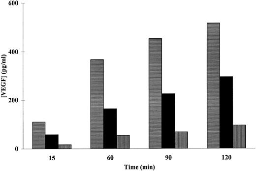 Fig. 3. Effect of PTX on the PMA-induced VEGF secretion in adherent neutrophils. Neutrophils (107/mL) were incubated (▤) without or with (▪) 100 or (▥) 500 μmol/L of PTX for the indicated periods of times at 37°C with 50 ng/mL of PMA for the indicated period of times at 37°C. Secreted VEGF was assessed by a specific ELISA. Data are from a representative experiment.