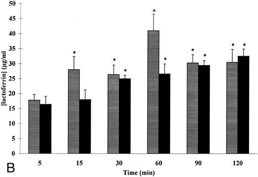 Fig. 4. Kinetics of fMet-Leu-Phe– and TNF-α–induced VEGF (A) and lactoferrin (B) secretion in adherent human neutrophils. Neutrophils (107/mL) were incubated with (▤) 10−7 mol/L of fMet-Leu-Phe and (▪) 20 ng/mL of TNF-α for the indicated periods of times at 37°C. Secreted VEGF and lactoferrin were assessed by specific ELISAs. Each point represents the mean ± SEM of five different determinations. * P < .05 v unstimulated neutrophils.