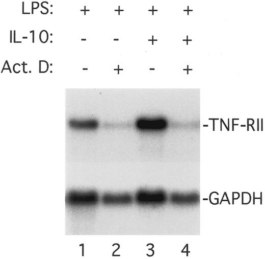 Fig. 7. Effect of actinomycin D on the ability of IL-10 to upregulate TNF-RII mRNA levels in LPS-stimulated monocytes. Monocytes (5 × 106 cells/mL) were preincubated for 30 minutes at 37°C with medium alone or rhIL-10 (10 ng/mL) in the presence or absence of actinomycin D (5 μg/mL), and then stimulated with LPS (100 ng/mL) for an additional 3 hours. At the end of the incubation period, cells were harvested, RNA isolated, and levels of TNF-RII mRNA determined by Northern blotting.