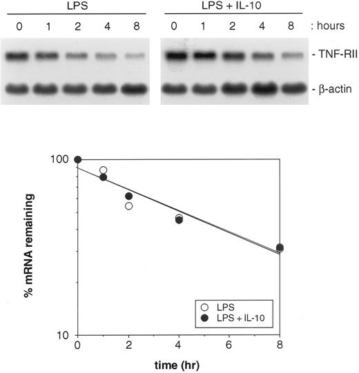 Fig. 8. Effect of IL-10 on the half-life of TNF-RII mRNA in LPS-stimulated monocytes. Monocytes (5 × 106 cells/mL) were cultured in the presence of LPS (100 ng/mL) or LPS + IL-10 (10 ng/mL) for 4 hours. Actinomycin D (5 μg/mL) was then added and the cultures further incubated for up to 8 hours longer. At designated time points, cells were harvested and RNA extracted. Levels of TNF-RII and β-actin mRNA were determined by Northern blotting. Autoradiographic films were analyzed by laser densitometric scanning on an LKB Ultroscan XL-500. Levels of TNF-RII mRNA were normalized to β-actin and then used to plot the percent reduction of TNF-RII mRNA over time for the 2 treatment groups: LPS v LPS + IL-10. Similar results were obtained in 2 separate experiments.