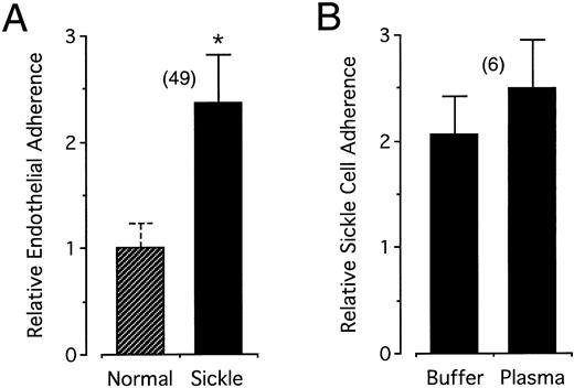 Fig. 2. (A) Increased endothelial adherence of sickle cells in buffer. Sickle cell and normal cell endothelial adhesiveness was measured in HBSS-BSA buffer and the figure presents the relative adherence with respect to normal controls (see Materials and Methods). (B) Direct paired measurement of the relative adherence of sickle cells in buffer and in autologous plasma. Error bars associated with the relative adherence of sickle cells represent standard deviations for the number of experiments indicated in the parentheses. By definition, there is no standard deviation associated with the normalized relative adherence of normal cells; however, in (A) and also in Figs 4 and 6 below, a dashed error bar representing the average standard deviation of the number of bound control cells in replicate wells within each experiment is provided as an additional index of internal variability independent of the statistical analysis. The asterisk in (A) indicates statistical significance at P < .001 (see Materials and Methods). In (B), the relative adherence of sickle cells in buffer and in plasma did not differ at the .05 level (sickle cell adherence in buffer or in plasma was nonetheless significantly different from the unitary adherence of control normal cells at P < .001).
