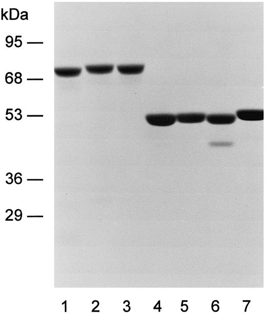 Fig. 2. Purified α and β dimerization site peptides. A 10% Laemmli SDS gel stained with Coomassie Brilliant Blue is shown. The GST fusion proteins (2 μg/lane) are as follows: lanes 1 through 3, α18-21, α18-211857, and α18-211857-Δ46, respectively. Recombinant peptides after protease cleavage, rechromatography on glutathione-Sepharose, and preparative HPLC gel filtration are as follows: lanes 4 through 7, α18-21, α18-211857, α18-211857-Δ46, and β1-4+.
