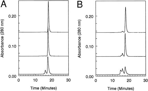 Fig. 3. Analytical HPLC gel filtration of spectrin recombinant peptides. Chromatograms are shown at the same absorbance scale with baseline offsets for clarity. Fifty micrograms of each peptide was injected (A) immediately after purification and (B) after storage on ice for 10 days. Chromatograms from top to bottom are α18-21, α18-211857, and α18-211857-Δ46.