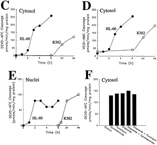 Fig. 5. Activation of caspases in vitro and in intact cells. (A) Activation of caspases in vitro. Aliquots containing 50 μg of cytosolic protein from untreated HL-60 or K562 cells were incubated with or without dATP and cytochrome C for the indicated length of time, subjected to SDS-PAGE, transferred to PVDF membrane, and probed with the indicated antibody. Arrow indicates 17-kD large subunit of active caspase-3. (B) Activation of caspases in vivo. HL-60 and K562 cells were treated with 68 μmol/L etoposide for the indicated length of time. Samples containing total cellular polypeptides from 3 × 105 cells were subjected to SDS-PAGE followed by immunoblotting with antibodies to the indicated caspase precursor. The lower panel was derived from a single x-ray film, permitting direct comparison of polypeptide levels. Because procaspase-3 levels were roughly fivefold higher in K562 cells than in HL-60 cells, the exposure of the blot shown in lanes 7 through 12 was adjusted to give a signal comparable to that shown in lanes 1 through 6 of the top panel. (C and D) Detection of peptidase activity in cytosol from etoposide-treated HL-60 or K562 cells. Cytosol was simultaneously prepared from HL-60 (•) or K562 cells (○) treated with 68 μmol/L etoposide for the indicated length of time. Aliquots (50 μg protein) from the same set of extracts were incubated with DEVD-AFC (C) or VEID-AMC (D). The amount of fluorochrome released was determined by comparison to an AFC or AMC standard curve. (E) Detection of DEVD-AFC cleavage activity in nuclei prepared from HL-60 or K562 cells after treatment with 68 μmol/L etoposide for the indicated length of time. (F) Effect of protein synthesis inhibitors on etoposide-induced activation of DEVD-AFC cleavage activity. K562 cells were treated for 24 hours with 70 μmol/L cycloheximide or 100 μmol/L puromycin alone or in combination with 68 μmol/L etoposide. At the completion of the incubation, cytosolic extracts were prepared and assayed for DEVD-AFC cleavage activity. (G) Time course of appearance of cytochrome c in cytosol. Aliquots containing 50 μg of cytosol protein prepared from HL-60 or K562 cells treated with 68 μmol/L etoposide for the indicated length of time were subjected to SDS-PAGE and blotting with anti-cytochrome c. Lanes 10 through 12, 270, 27, and 2.7 ng of cytochrome c, respectively. In contrast to HL-60 cells, where cytochrome c release to cytosol is evident within 1.5 hours (lane 2 and Yang et al36 ), cytochrome c release to cytosol of K562 cells was not evident until 24 hours. Results are representative of three to six independent experiments.