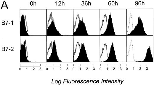 Fig. 3. Time course of APC capacity and cell-surface expression of costimulatory molecules B7-1 and B7-2 on follicular lymphoma cells stimulated in vitro with CD40L and IL-4. Induction/upregulation of B7-1 and B7-2 was analyzed by FACS using directly conjugated MoAbs or by IC on cytospin preparations of the same cells. Cells were obtained from culture and extensively washed before analysis at time points indicated. (A) FACS analysis. Unshaded area indicates fluorescence of isotype-matched antibody. (B) IC of cytospin preparations. To detect differences in intensity by IC, primary antibodies were used at lower concentrations than described for Fig 2. B7-1 MoAb (EW3.4B2.C4) was used at a 1:2,000 dilution, B7-2 MoAb (HA5.2B7) at a 1:12,000 dilution. (C) Allogeneic T-cell proliferation induced by unstimulated FL cells and CD40-FL cells. FL cells were activated as described in Material and Methods, washed, irradiated, and used at 5 × 104 stimulator cells/well. Highly purified allogeneic T cells (1 × 105 cells/well) were used as responders. T-cell proliferation was measured at day 3 (data not shown) and day 6 by thymidine incorporation for the last 16 hours of the culture period. Approriate controls (T cells, FL cells, CD40-FL cells) were less than 1,800 cpm. One representative experiment (FL4, FL12, FL16) of three experiments is shown.