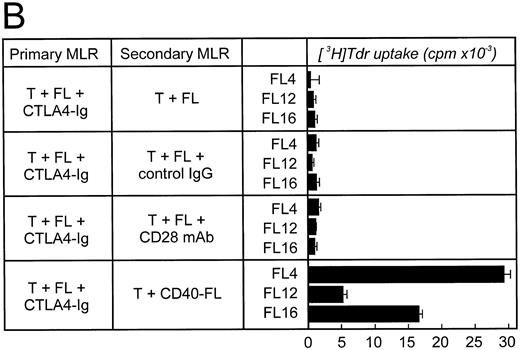 Fig. 6. FL cells induce anergy only if CTLA4-Ig is present during primary stimulation. Allogeneic T cells were stimulated in a primary MLR with unstimulated FL cells (A) in the absence or (B) in the presence of CTLA4-Ig. Primary coculture was performed for 5 to 6 days. Cells were then obtained, enriched for viable cells by density-centrifugation, and rested for 48 hours before restimulation. Cells were then restimulated with FL cells, FL cells plus control IgG (2 μg/mL), FL cells plus CD28 MoAb (1 μg/mL), or CD40-FL cells. T-cell proliferation was assessed after 3 (shown here) or 6 days (data not shown) by thymidine incorporation for the last 16 hours of coculture. Approriate controls (T cells, FL cells, CD40-FL cells) were less than 2,000 cpm. Control IgG or CD28 MoAb were added to the T cells 30 minutes before coculture and were present throughout the culture period.